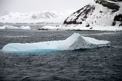 04B Penguins On An Iceberg At The Neptunes Bellows Narrow Opening To Deception Island On Quark Expeditions Antarctica Cruise Ship.jpg